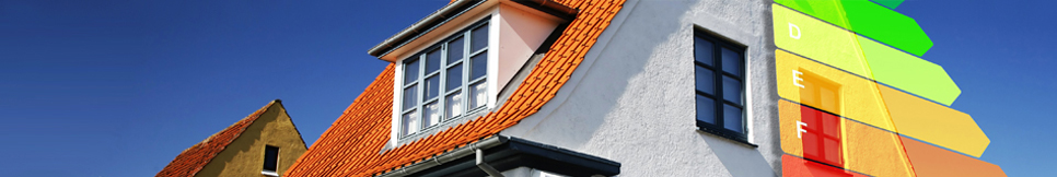 Banner - Heiner Graß